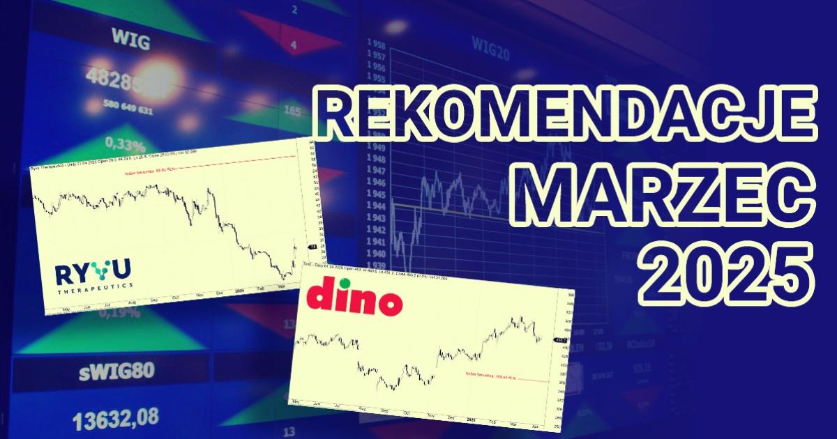 REKOMENDACJE MARZEC 2025