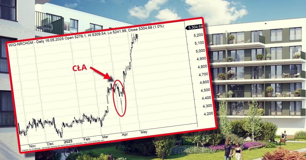 wig_nieruchomosci_1q25