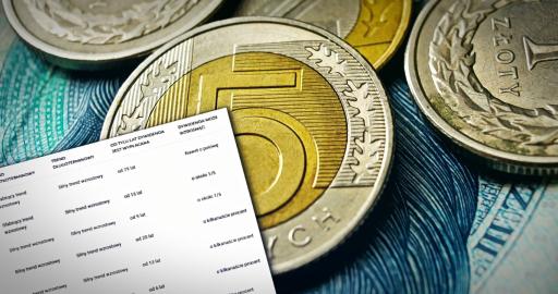 7 spółek dywidendowych w trendzie wzrostowym z szansą na wyższą dywidendę w 2026 r.